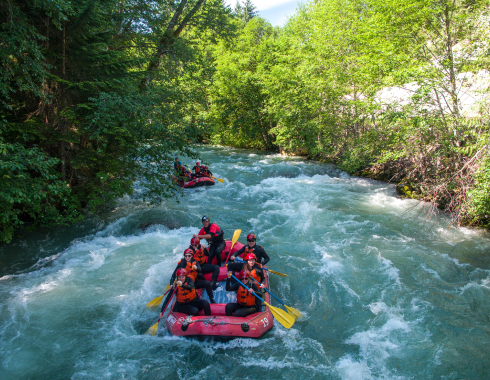 mountain adventure tour whistler