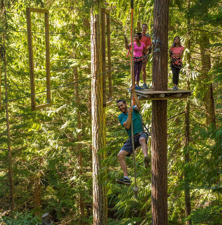 Aerial Obstacle Course - The Adventure Group